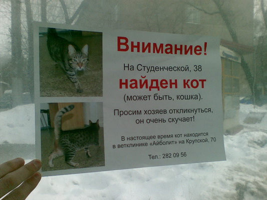 Добро пожаловать в Пермь