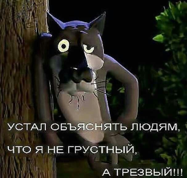 Алкопост 2.5.22