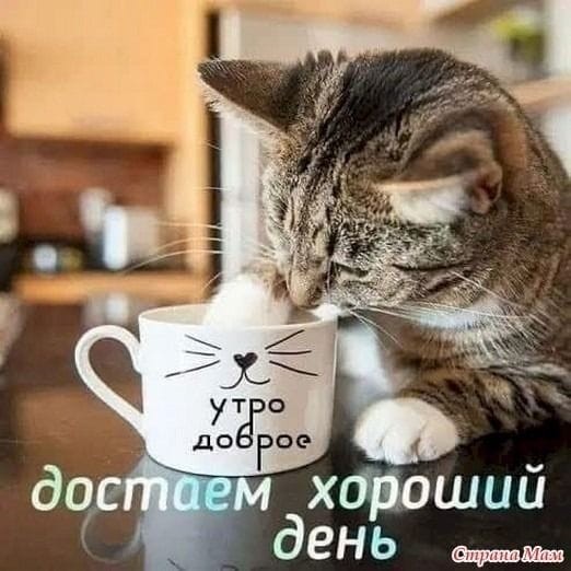 Реально бомбит!