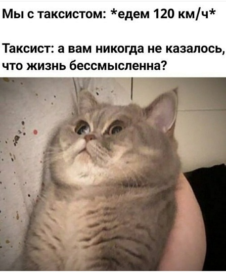 3 этапа жизни