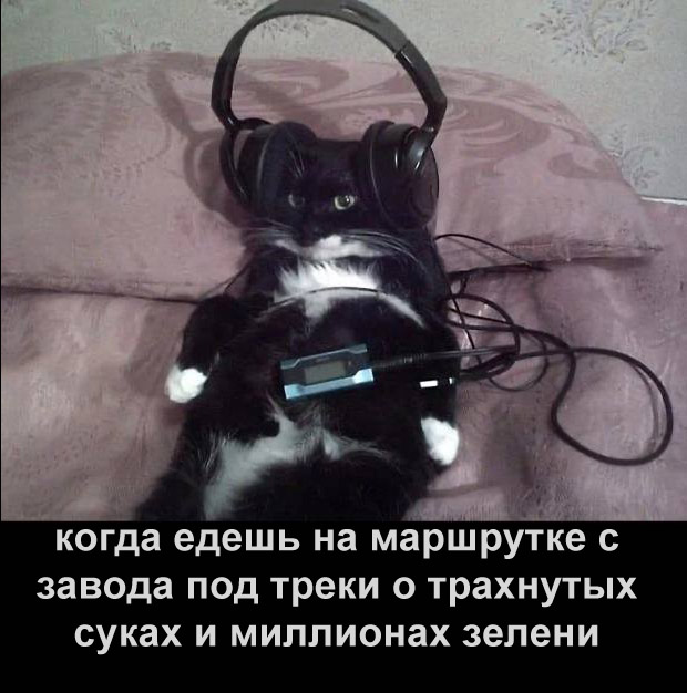 Немного мемчиков. Для взрослых 18+. Часть 13
