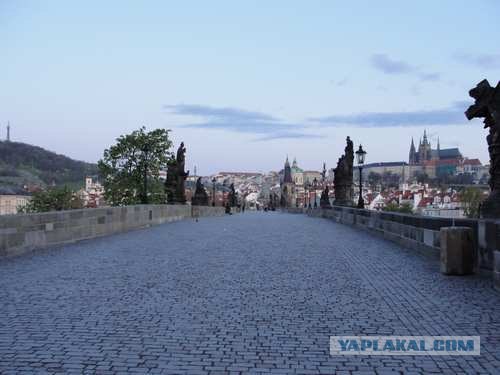 Пивная Прага