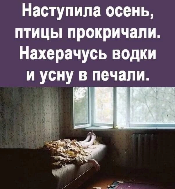 Алкопост 8.10.22