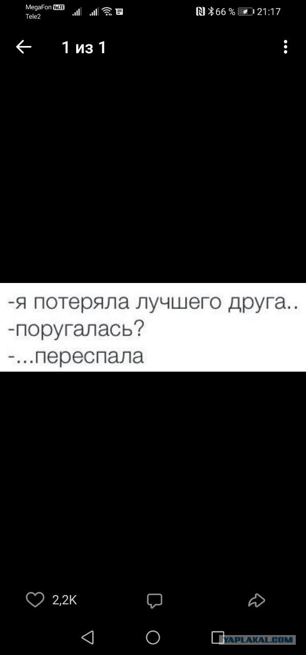 Немного мемчиков. Для взрослых. Часть 19