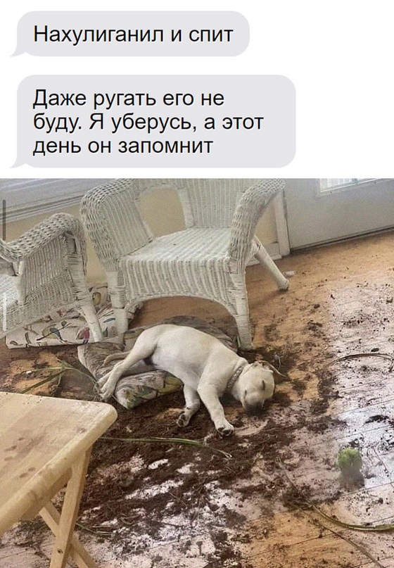 Немного картинок для настроения - 114