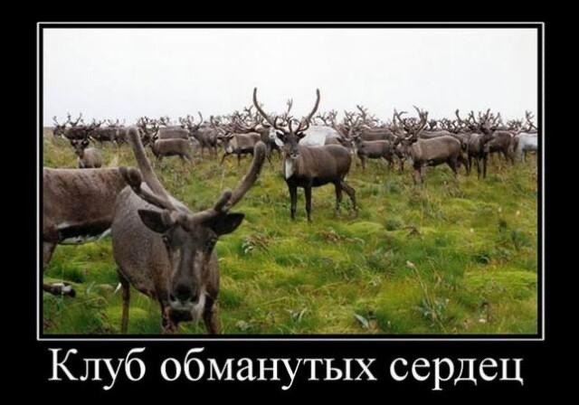 Как я стал куколдом "поневоле"