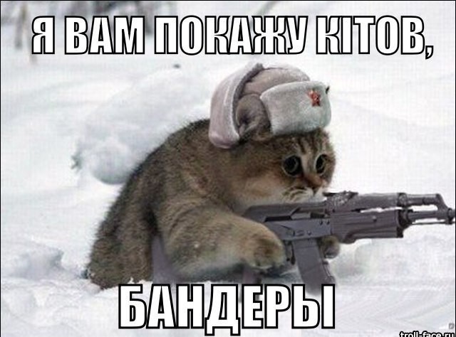 Верховная рада запретила называть серого зайца «русаком».