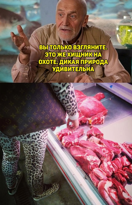 Весёлый полтишок 03.04.23