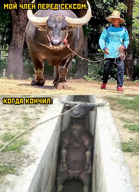 Картинки и мемы, это май-чародей всяко разно - 177