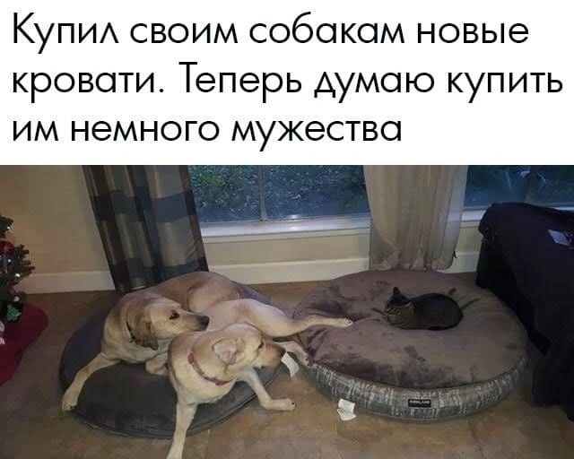 Скупка краденого из сети 04-06-2023