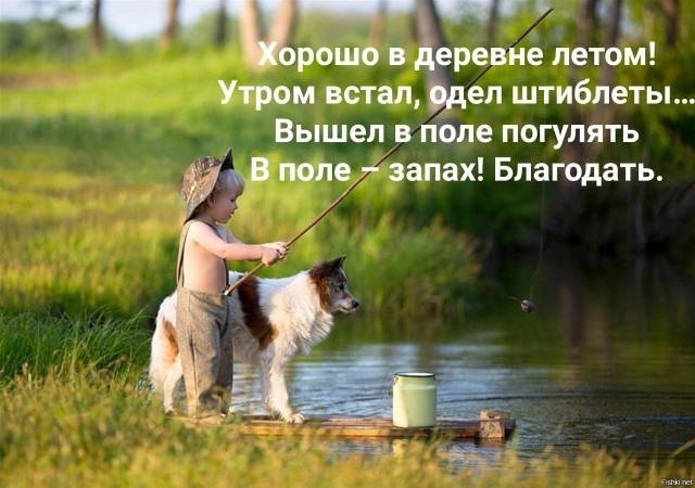 Так себе картинки 11.06.23