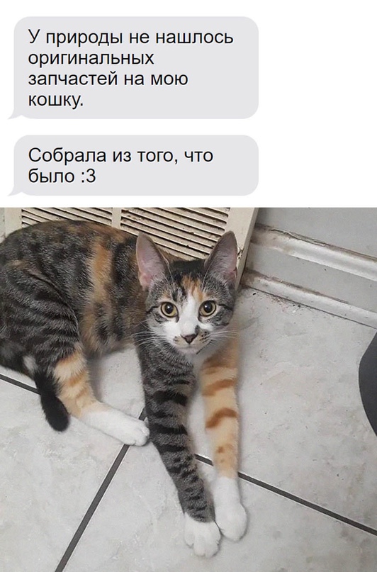 Весёлый полтишок 08.07.23