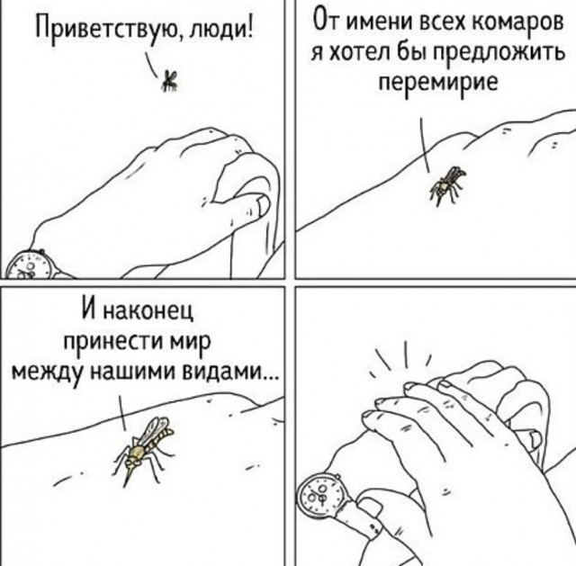 Так себе картинки 28.07.23