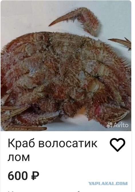 Крабы подешевели и сравнялись по стоимости с раками в России