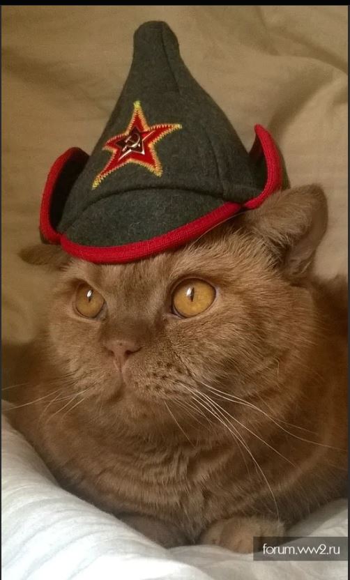 Химия и жизнь