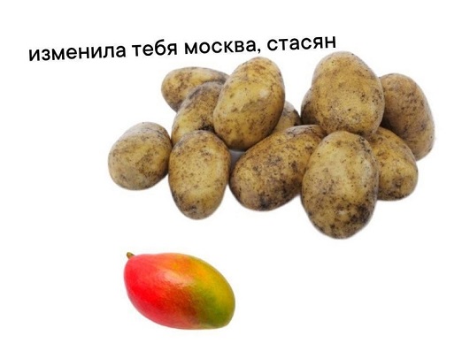 Папа, покажи оленя