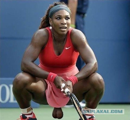 Олимпиада 2024