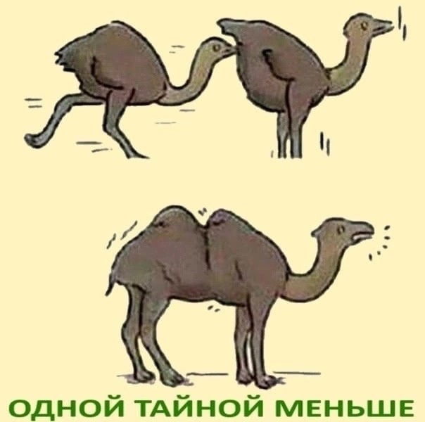 Так себе картинки 18.07.24