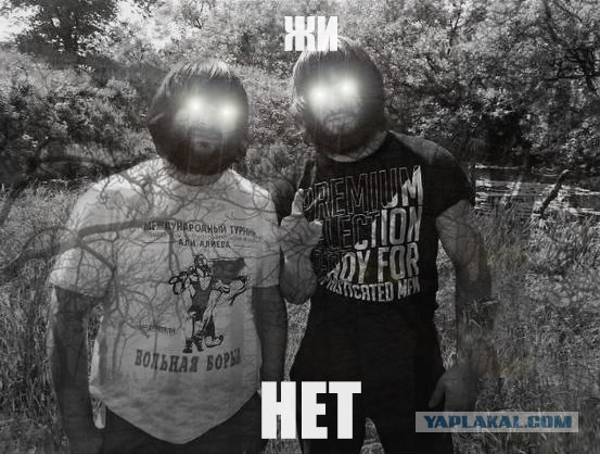 Скатертью скатертью тленный путь стелется...