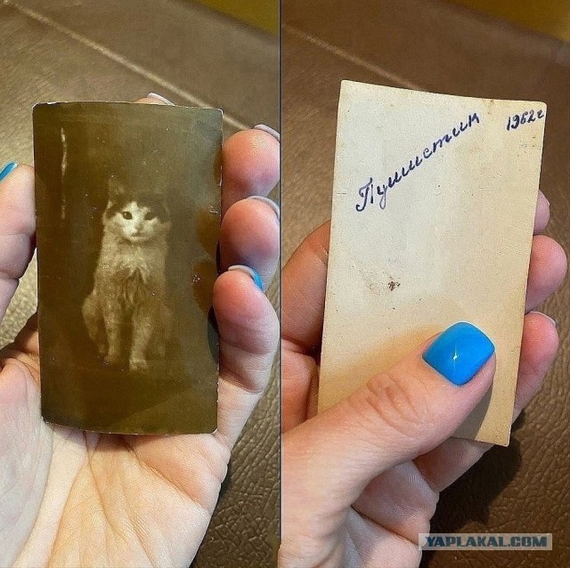Так себе картинки 15.05.25