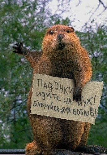 Веселое настроение в картинках (22.10.2025)