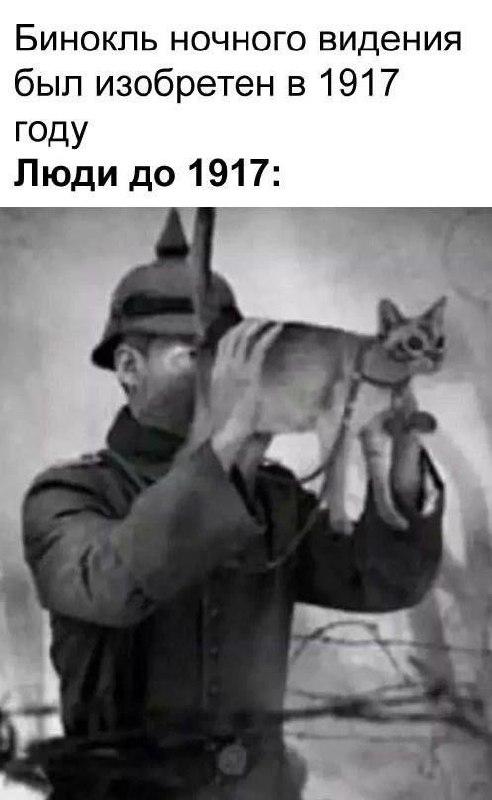 Картинки для деградации 116 (разной степени свежести)