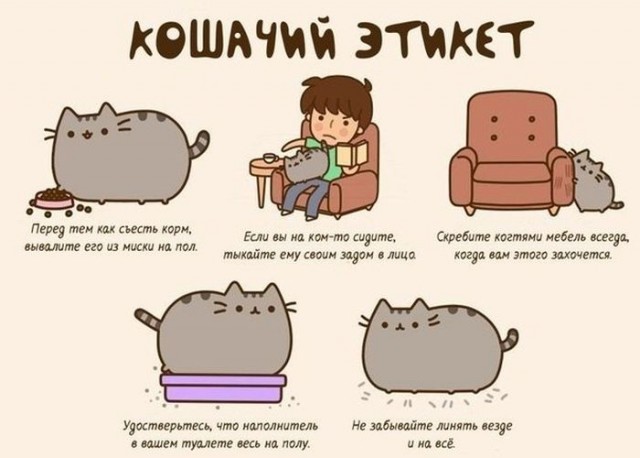 Веселые картинки и немного девушек (50 изображений)