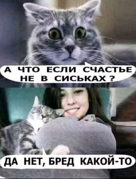Веселые картинки в пятницу 13