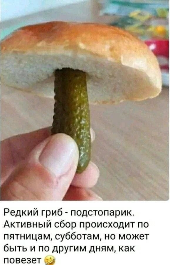 Картинки для деградации 188 (разной степени свежести)