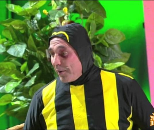 Пчёлы интересные
