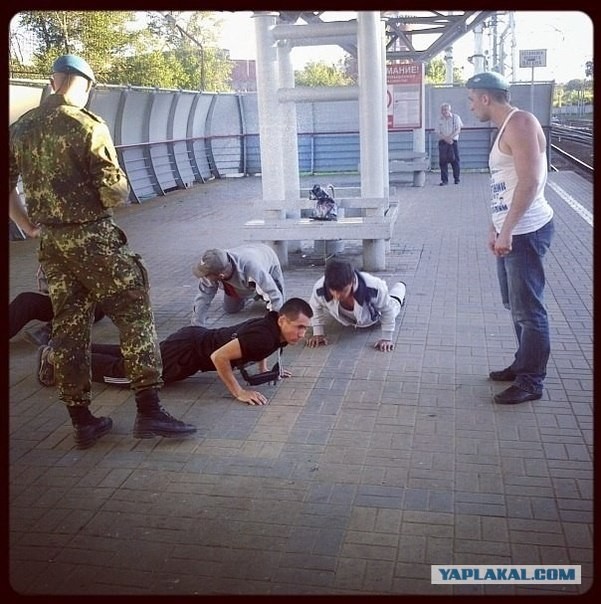 Бибизяны и мотоциклист