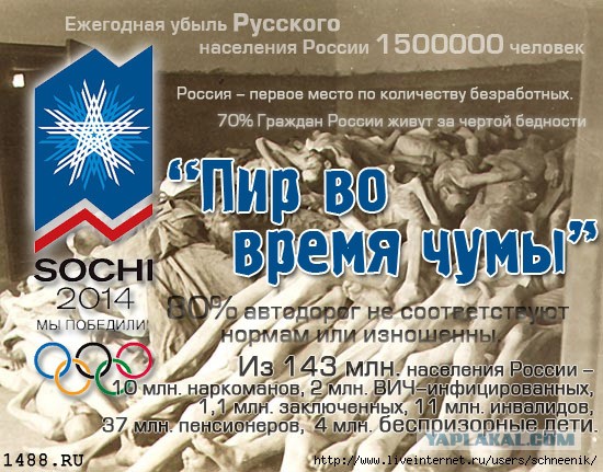 Дураки