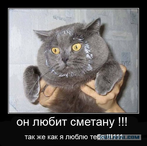Унываторы (19 фото)