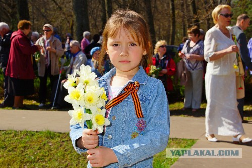 Про ветеранов