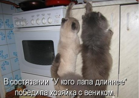 Котовторник 27.5.2014