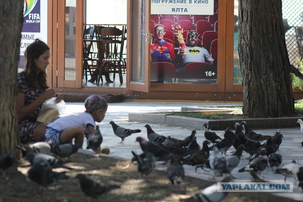 Дорога из Киева и из Москвы в Ялту.