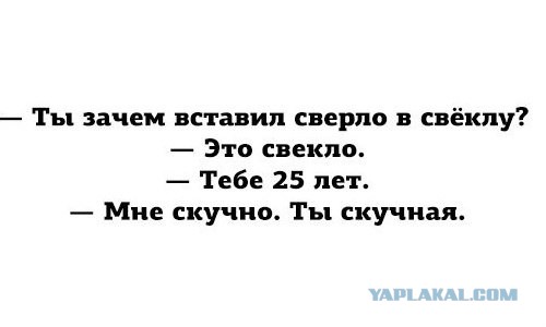Смешные комментарии из социальных сетей 11.11.2014