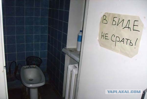 Прикольные картинки.