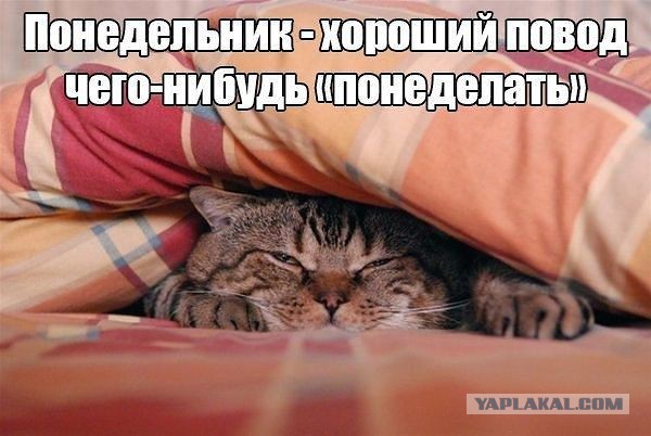 Весёлое из сети
