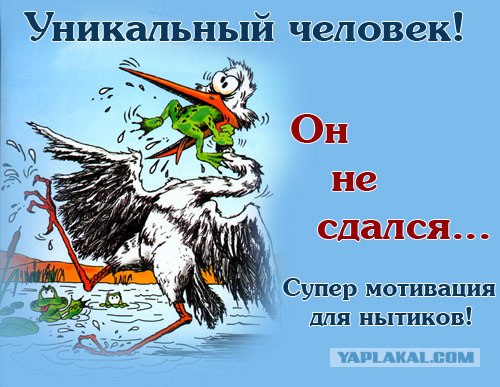 Свадьба сильного человека