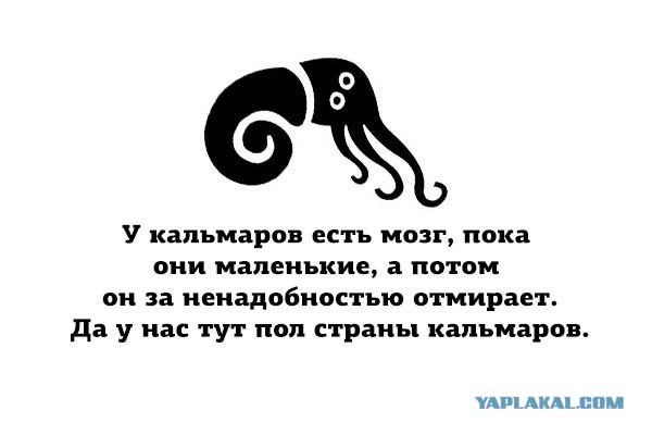 Прикольные картинки на понедельник