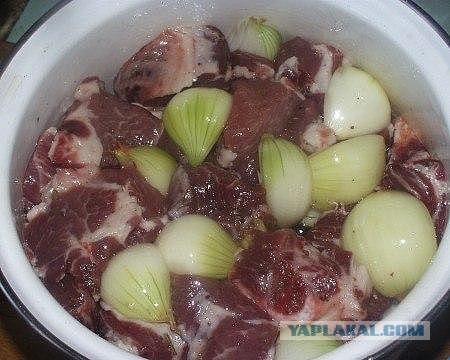 9 заповедей шашлычника