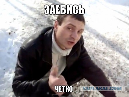 Бык на дороге и перцовый газ