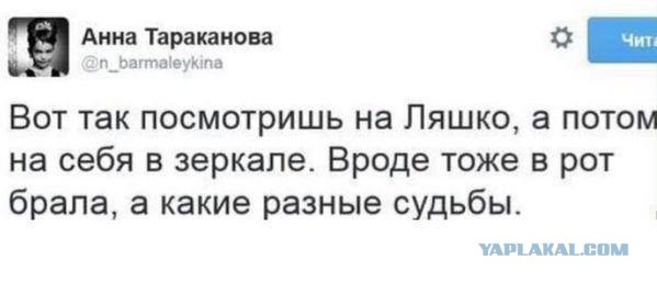 Перемирие кончилось, едва начавшись. Часть 13