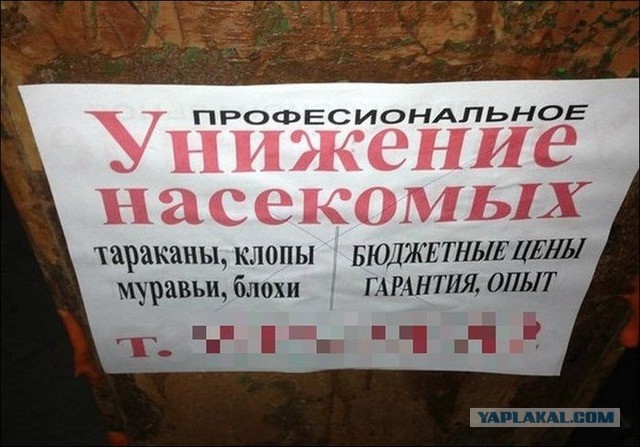 Народные перлы