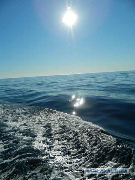 Морская романтика - 2