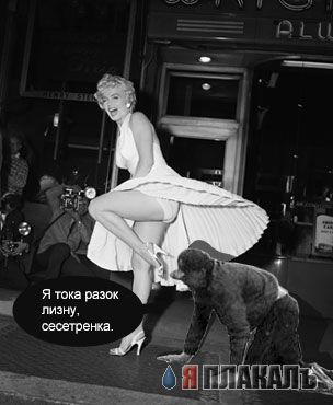 Фотожаба: ползун