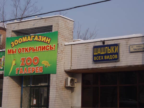 ВЫВЕСКИ, ТАБЛИЧКИ. Смешные и прикольные