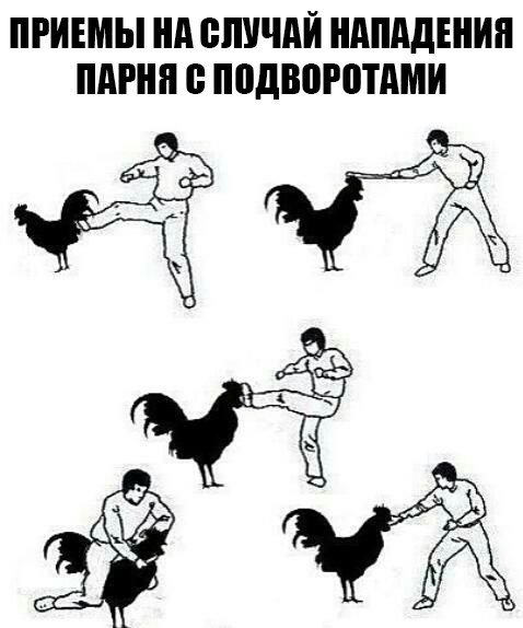 Абсурдный юмор ч.17