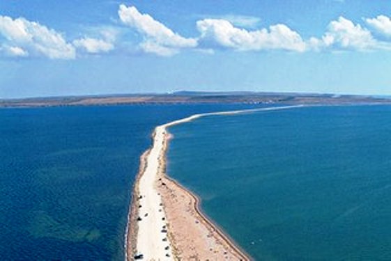 Поиграем в омонимы